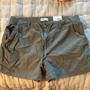 Sonoma Green Casual Shorts